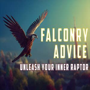 online falconry practice tests